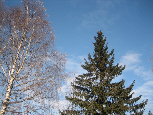  (640x480, 226Kb)