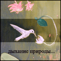  (120x120, 13Kb)