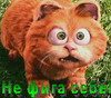  (100x88, 6Kb)