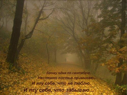  (500x375, 37Kb)