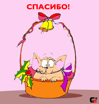 Смешные картинки спасибо за поздравление Смешные картинки спасибо за поздравление