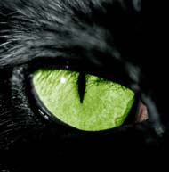 (190x193, 12Kb)