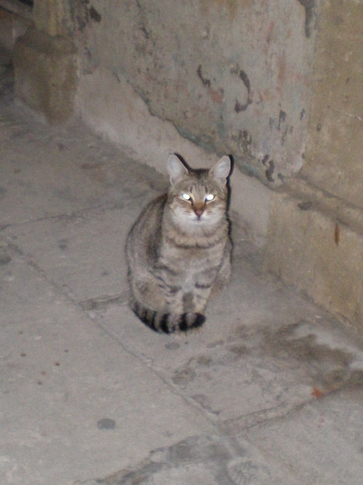  (525x700, 244Kb)