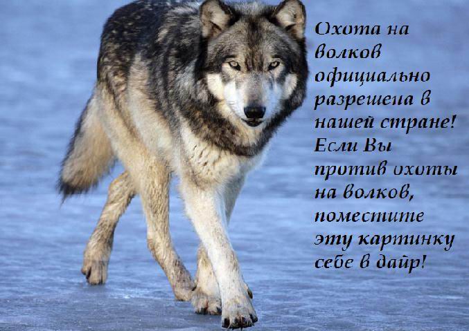  (677x479, 61Kb)