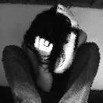  (150x150, 33Kb)