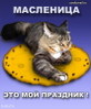       (37 Kb)