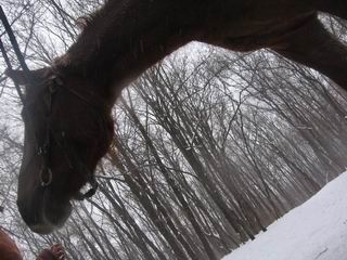 f_1568187.jpg