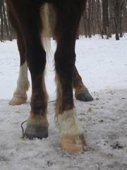 f_1568311.jpg
