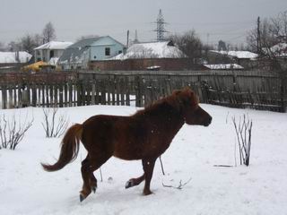 f_1568347.jpg