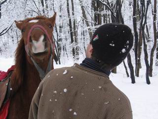 f_1568365.jpg