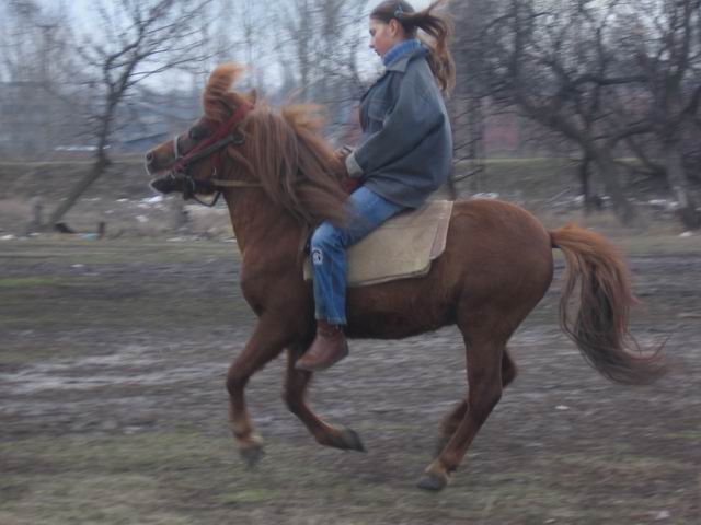 f_1624009.jpg