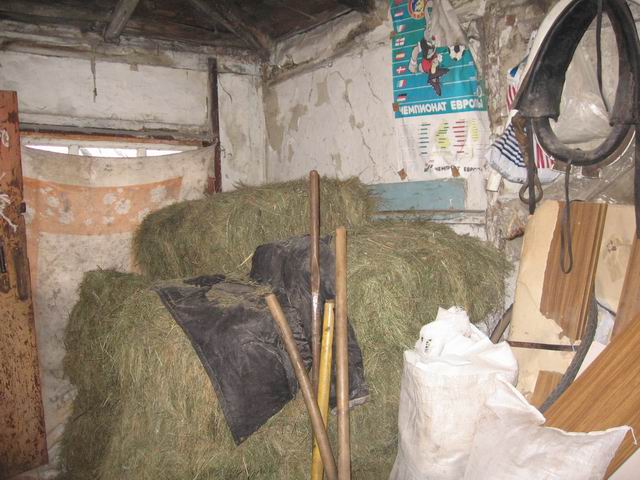 f_1625897.jpg