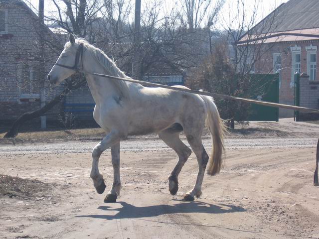 f_1648394.jpg