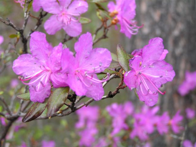 f_1917189.jpg