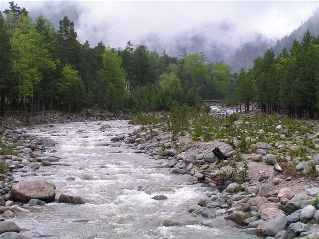 f_1977650.jpg