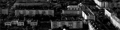 Реальная жизнь