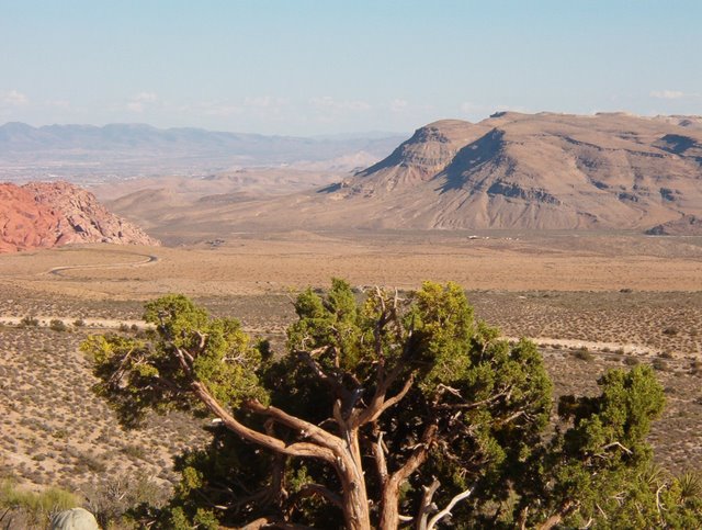 Red Rock Canion