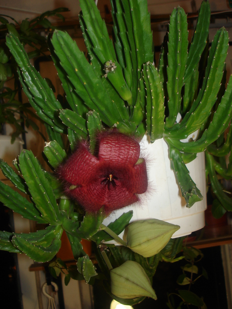 f_2957558.jpg